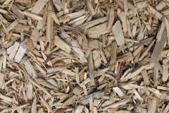 biomass boilers Aunk